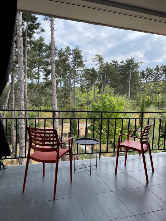 Hotel Უცხო-Utskho Telavi Extérieur photo
